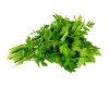 Pietruszka - liść 2.5 kg - EQUIHERBS 